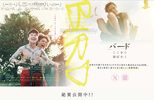 『バード ここから羽ばたく』 11/1～14